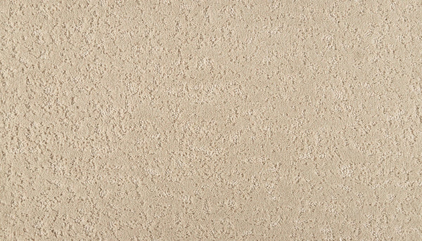 Mohawk Mineral Effects Carpet