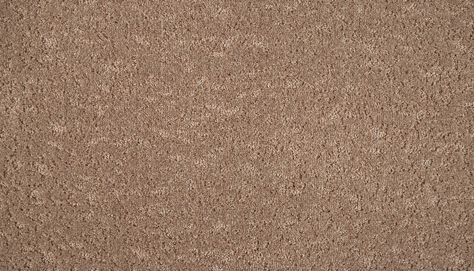 Mohawk Mineral Effects in Clay, Carpet product detail