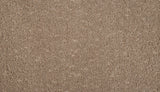 Mohawk Mineral Effects Carpet