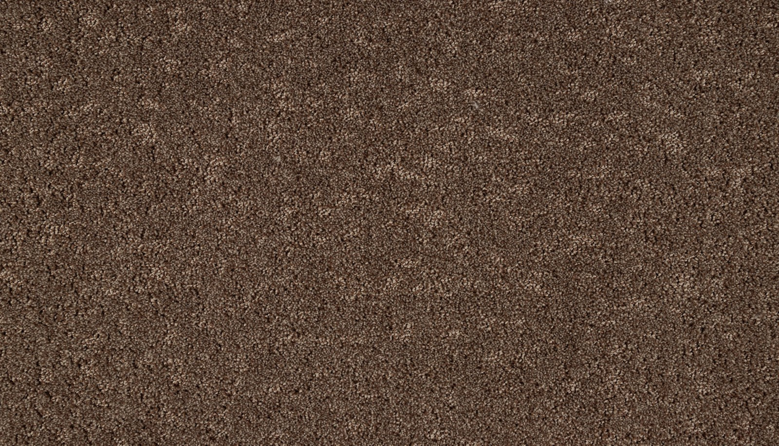 Mohawk Mineral Effects in Sequoia, Carpet product detail