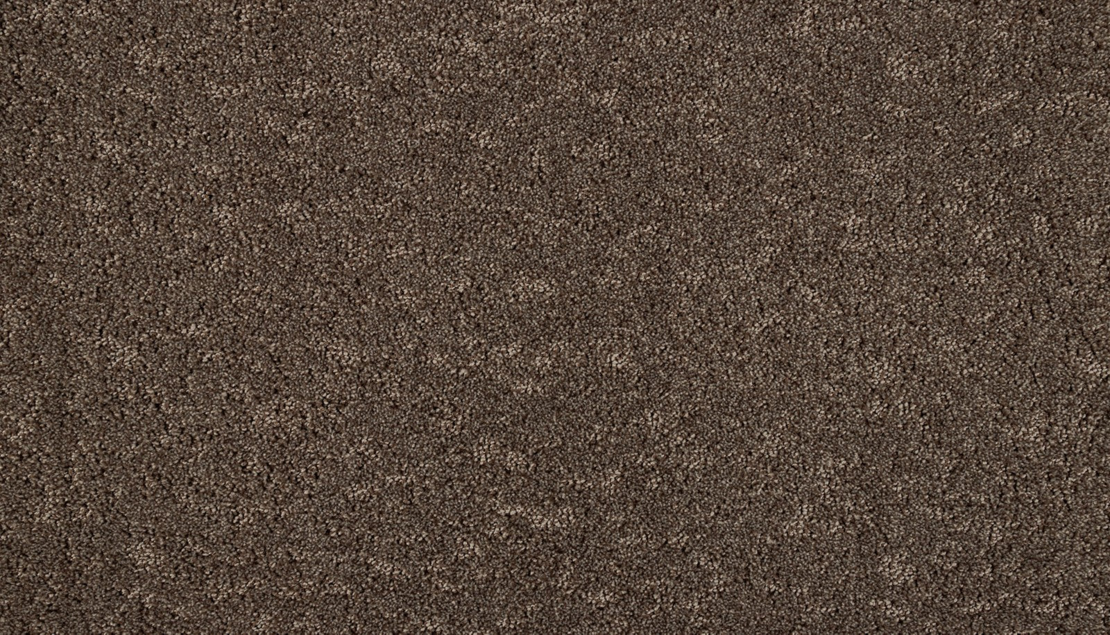Mohawk Mineral Effects in Walnut, Carpet product detail