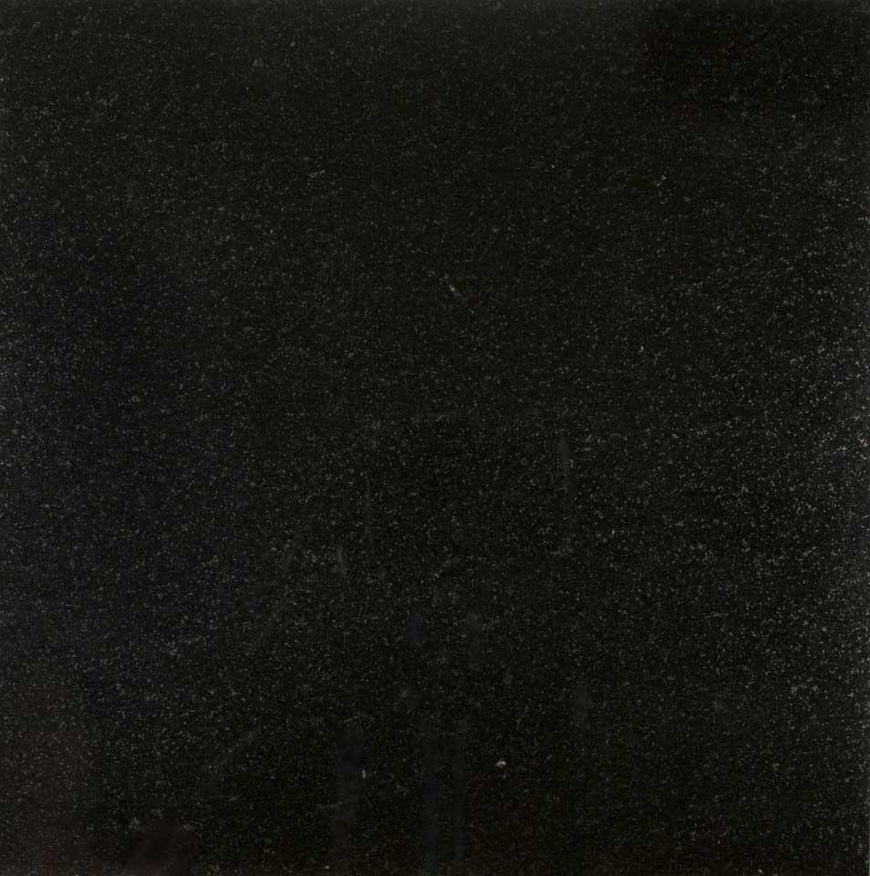 MSI Absolute Black, surface detail in black tonality quarried slab for kitchen and counter install, third view
