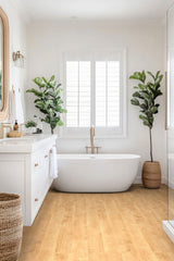 MSI Acclima Mt Sande Luxury Vinyl Plank Flooring