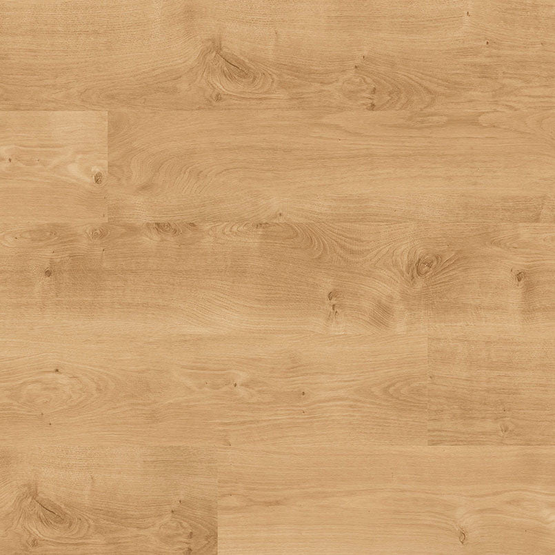 MSI Acclima Mt Sande Luxury Vinyl Plank Flooring