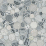 MSI Alaska Gray Pebble Polished Tile