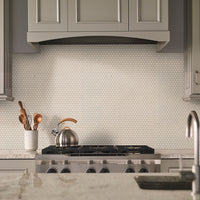 MSI Domino Almond Penny Round Mosaic Tile — surface detail in natural tonality
