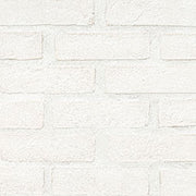 Alpine White Reclaimed Clay Brick