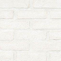 Alpine White Reclaimed Clay Brick
