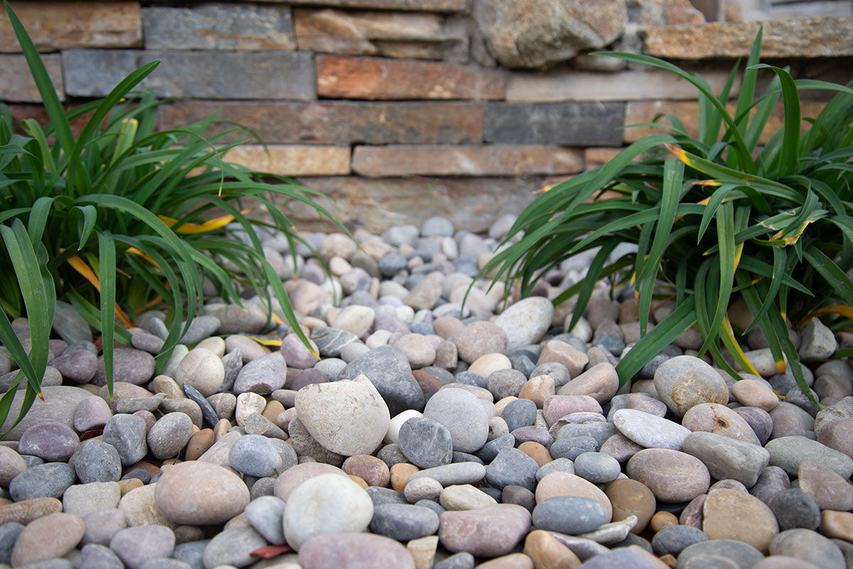 MSI Amazon Multi Pebbles | Citadel Spaces