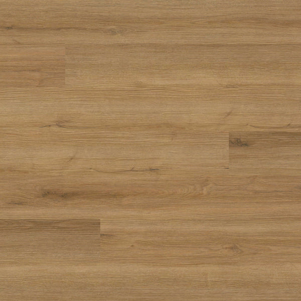 MSI Cyrus Amber Forrester Luxury Vinyl Plank Flooring