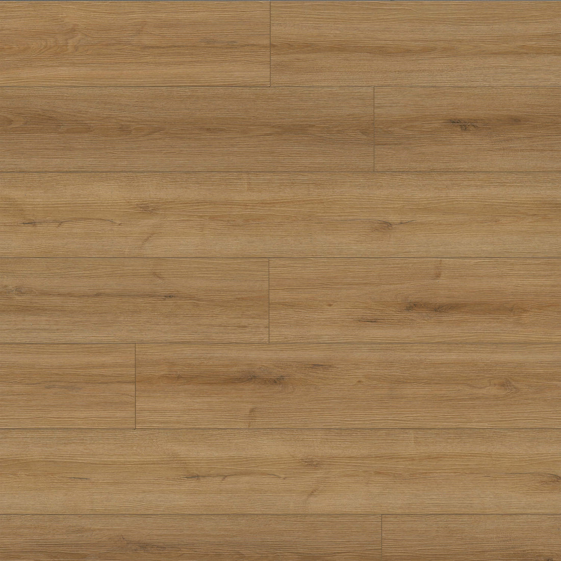 MSI XL Cyrus Amber Forrester Luxury Vinyl Plank Flooring