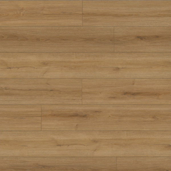 MSI XL Prescott Amber Forrester Luxury Vinyl Plank Flooring