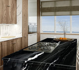 MSI Andes Black - Quartzite Slab