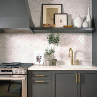 MSI Angora Framework Polished Subway Tile — surface detail in natural tonality