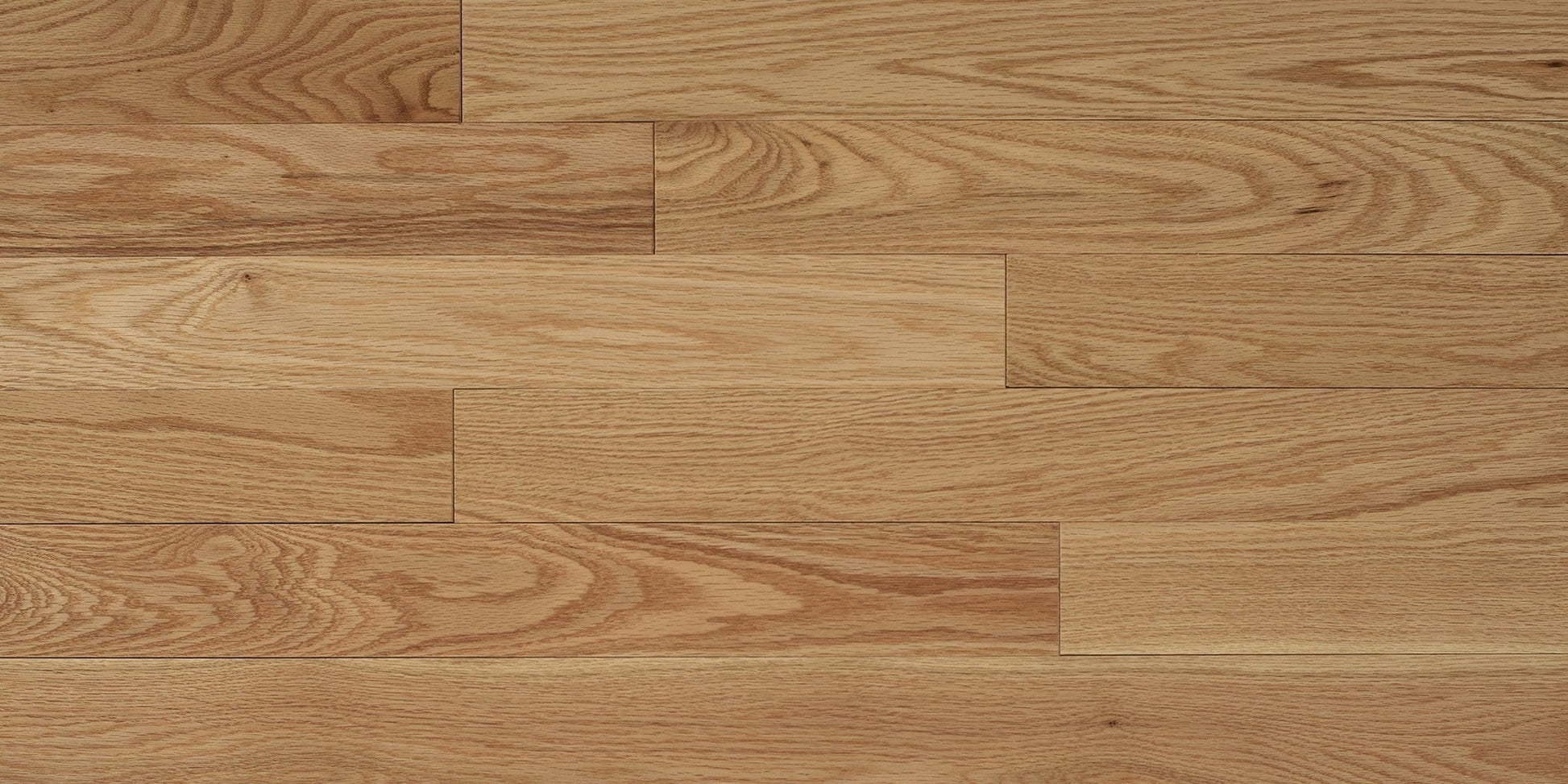 Close-up of Appalachian Signature Red Oak Natural solid hardwood plank, 2-1/4 inch width, Semi-Gloss finish.