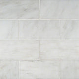 MSI Arabescato Carrara Subway Tile 3x6