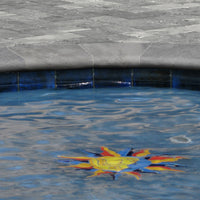MSI Argento Travertino Porcelain Coping — surface detail in natural tonality