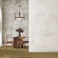MSI Ashton Colston Park Luxury Vinyl Plank Flooring — surface detail in natural tonality