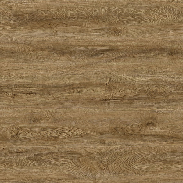 MSI XL Ashton Colston Park® Luxury Vinyl Plank Flooring