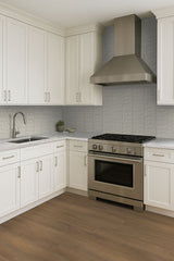 MSI Audacia - Quartzite Slab