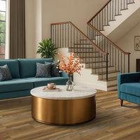 MSI Cyrus Barnstorm Luxury Vinyl Plank Flooring — surface detail in natural tonality