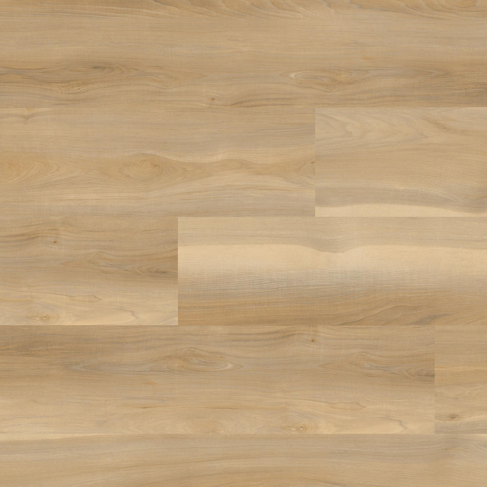 MSI Nove Plus Bayhill Blonde Luxury Vinyl Plank Flooring in blonde tonality