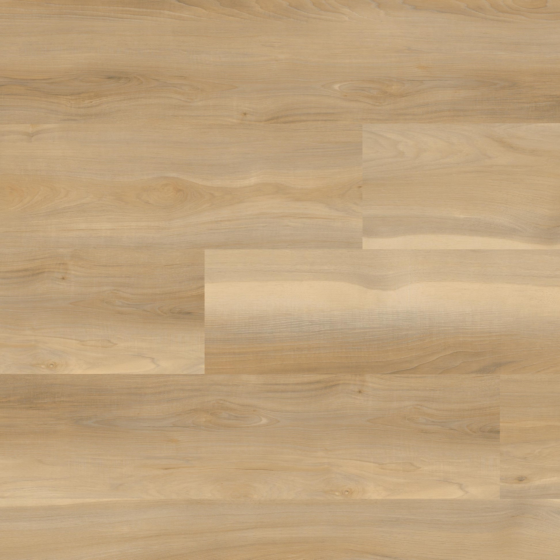MSI Nove Bayhill Blonde Luxury Vinyl Plank Flooring in blonde tonality