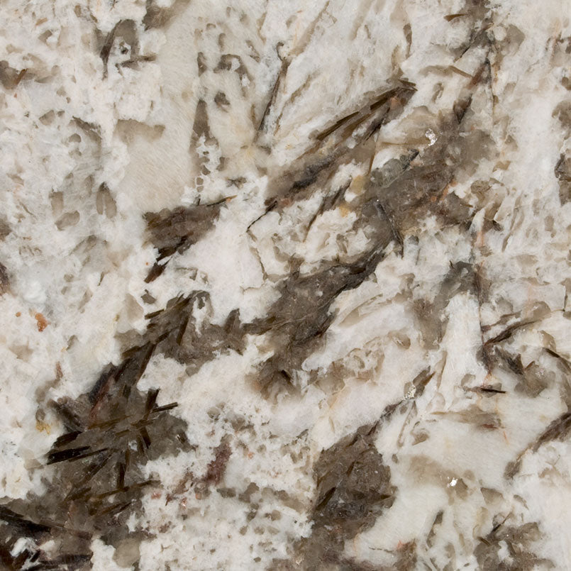 MSI Bianco Antico - Granite Slab