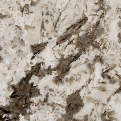 MSI Bianco Antico - Granite Slab