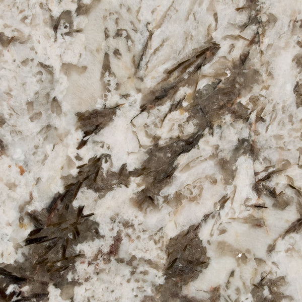 MSI Bianco Antico - Granite Slab