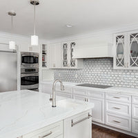 MSI Bianco Dolomite Lynx Polished Marble Tile — surface detail in natural tonality