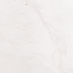 Bianco Dolomite Marble - Polished (2 x 8)