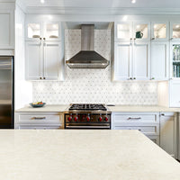 MSI Bianco Dolomite Pinwheel Tile — surface detail in natural tonality