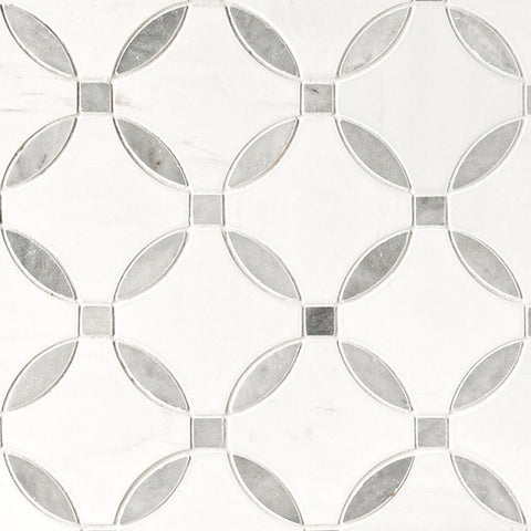 MSI Bianco Dolomite Lola Polished