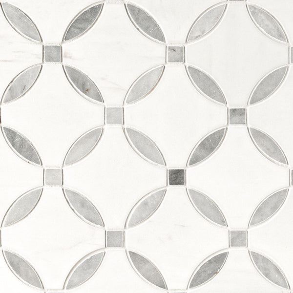 MSI Bianco Dolomite Lola Polished