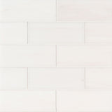 MSI Bianco Dolomite Polished Subway Tile 3x6