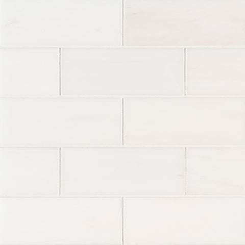 MSI Bianco Dolomite Polished Subway Tile 3x6