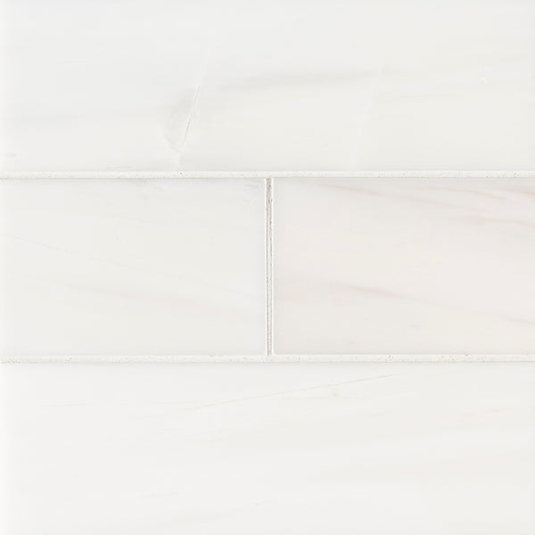 MSI Bianco Dolomite Polished Subway Tile 4x12