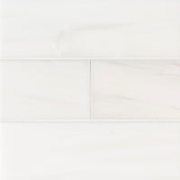 MSI Bianco Dolomite Polished Subway Tile 4x12 — Natural Stone Mosaic