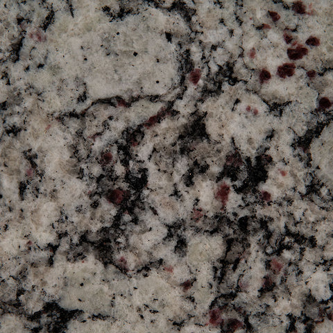 MSI Bianco Frost - Granite Slab