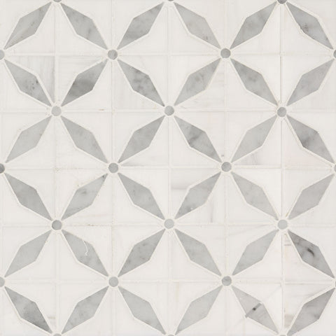 MSI Bianco Dolomite Starlite Marble Geometric Tile