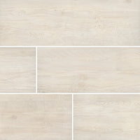 MSI Caldera Blanca Porcelain Paver 20mm exterior porcelain paver freeze-thaw stable
