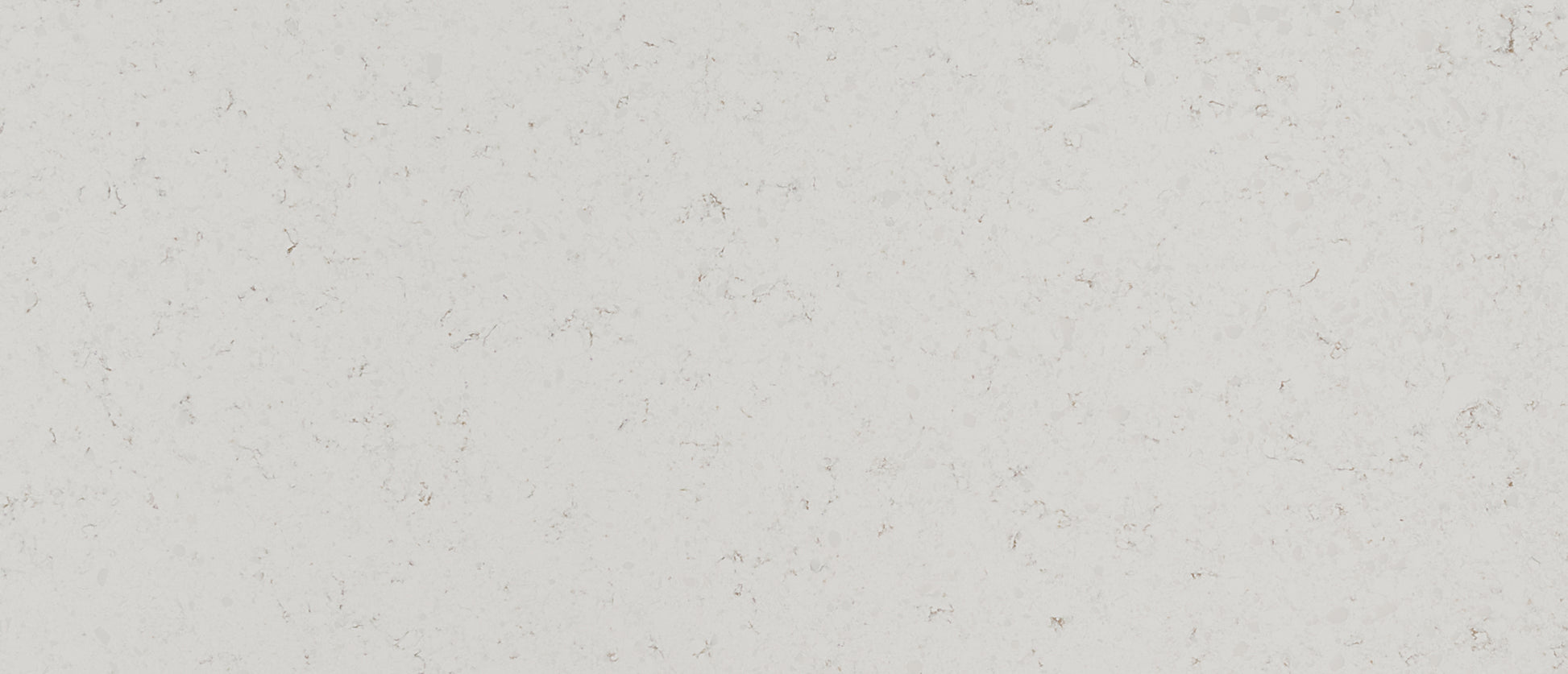MSI Blanca Statuarietto quartz slab close up