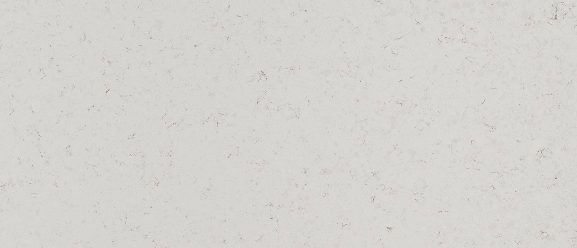 MSI Blanca Statuarietto quartz slab close up