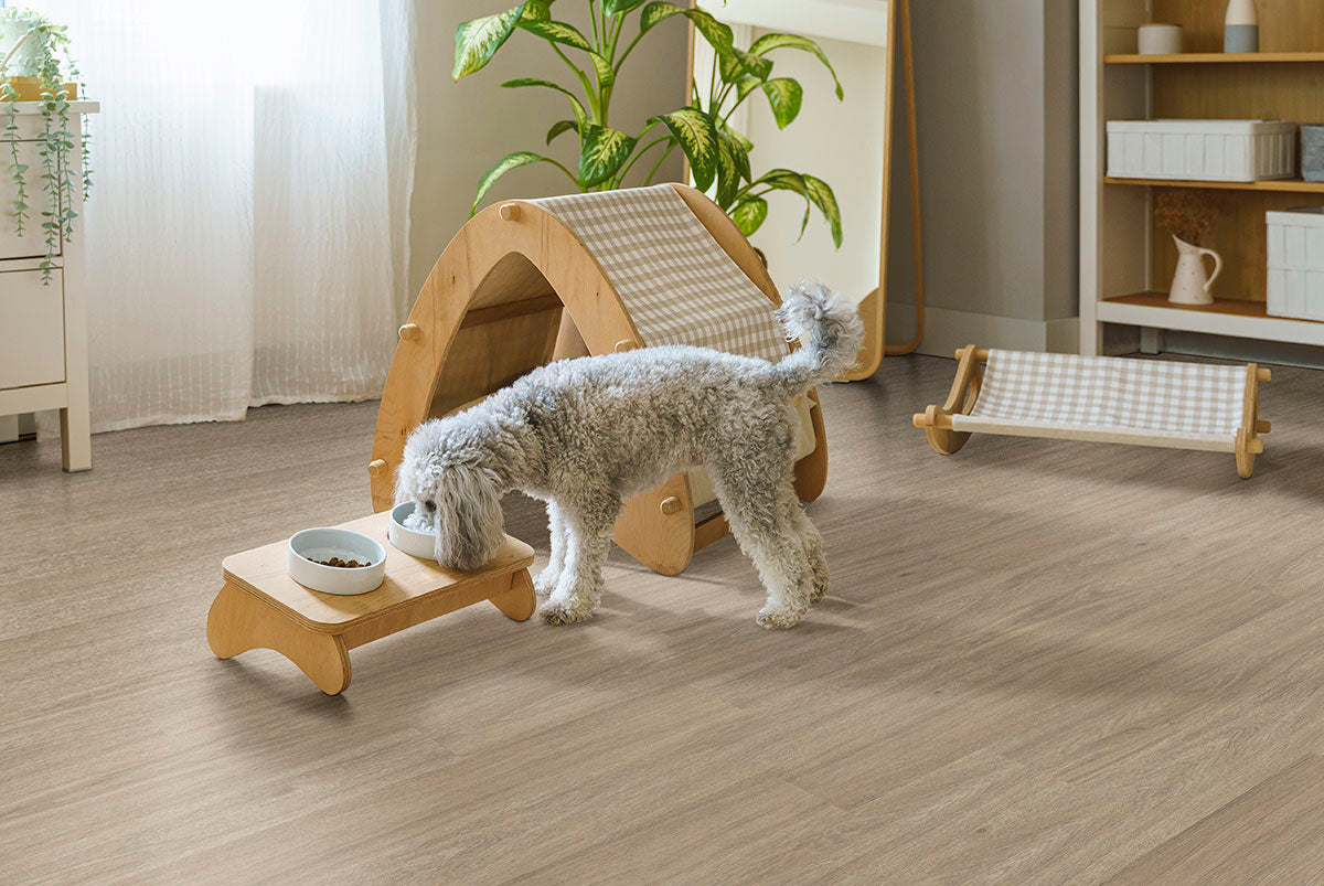 MSI Wilmont Bleached Elm Luxury Vinyl Plank Flooring — surface detail in natural tonality