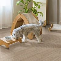 MSI Wilmont Bleached Elm Luxury Vinyl Plank Flooring — surface detail in natural tonality