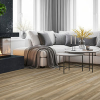 MSI Prescott Brookings Luxury Vinyl Plank Flooring — surface detail in natural tonality