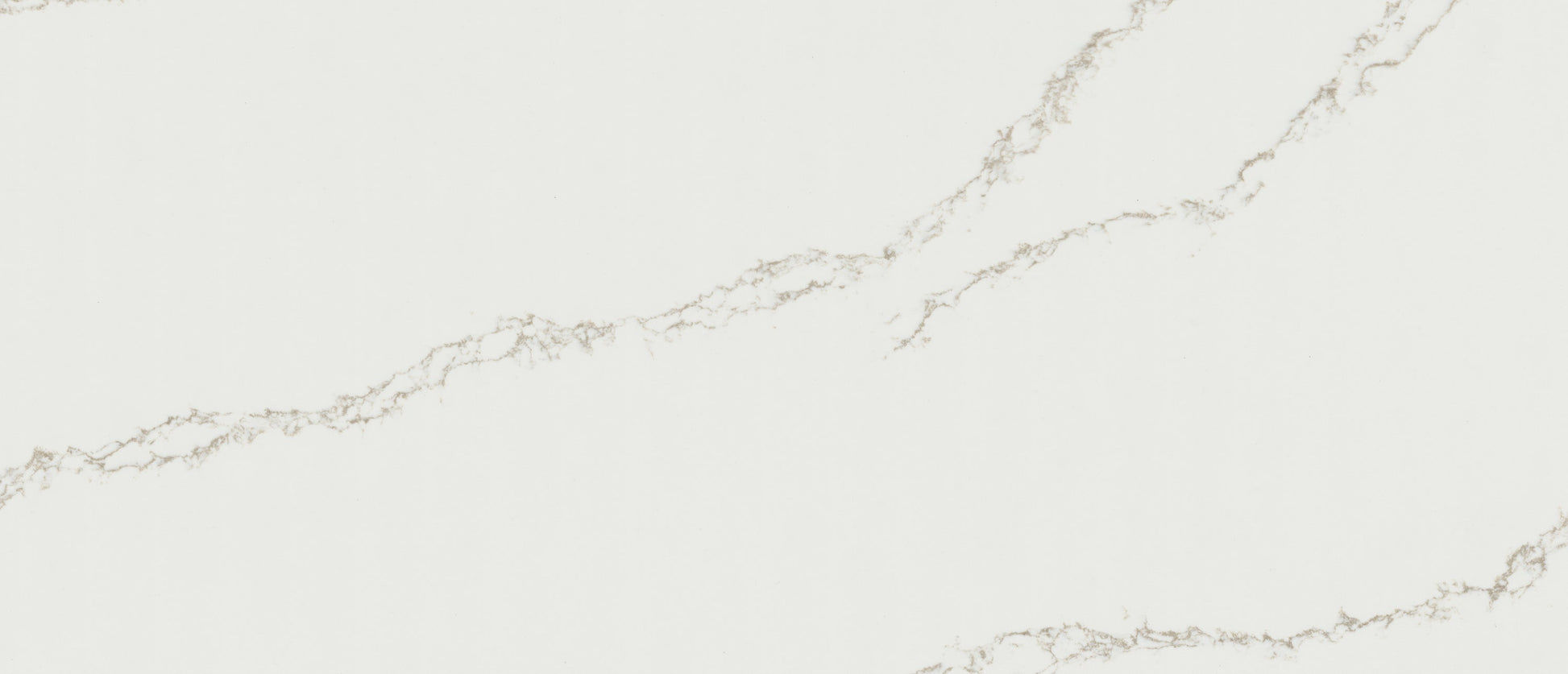 MSI Calacatta Arno quartz slab close up