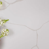 MSI Calacatta Classique Quartz — surface detail in natural tonality