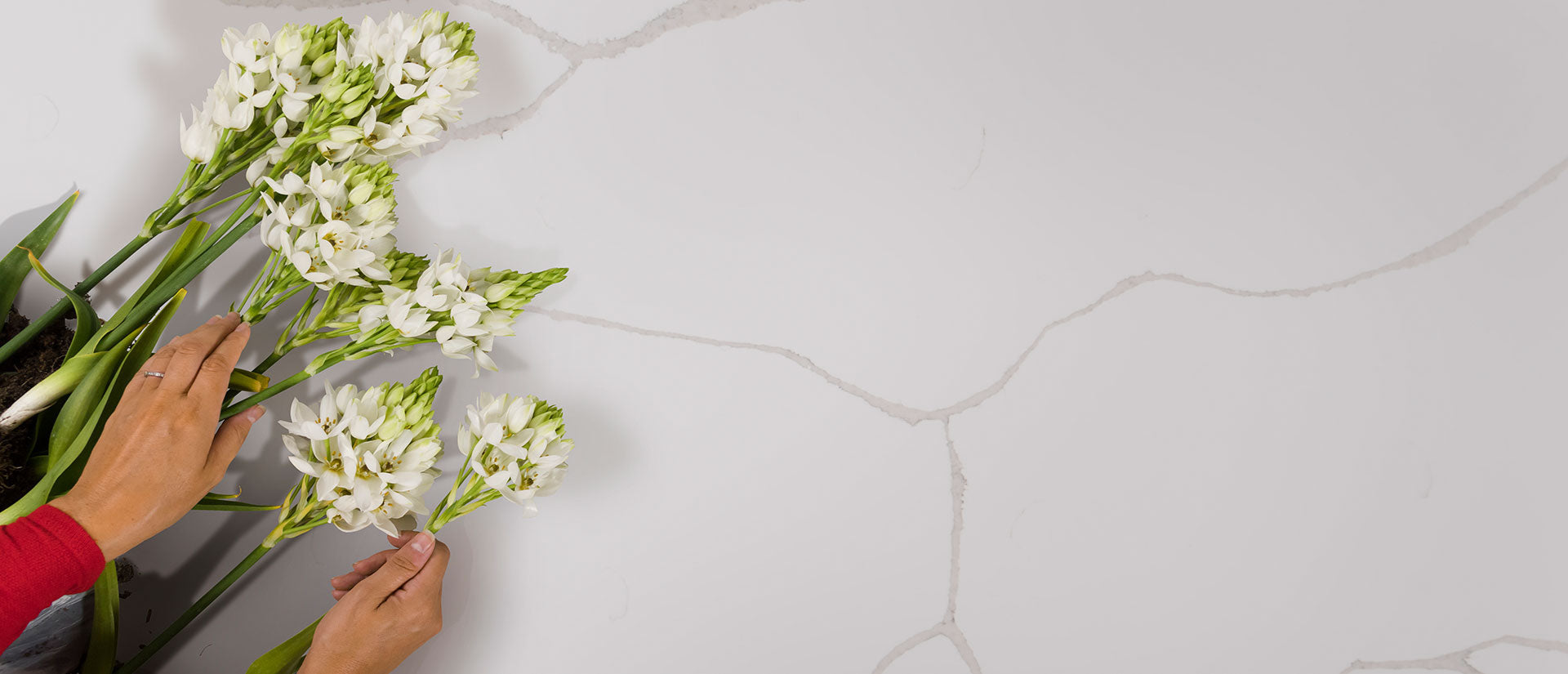 MSI Calacatta Classique - Quartz Island Countertop